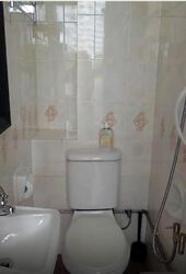 Tanglin Regency (D10), Condominium #462569811